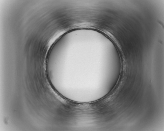 X0000102021285200807180934