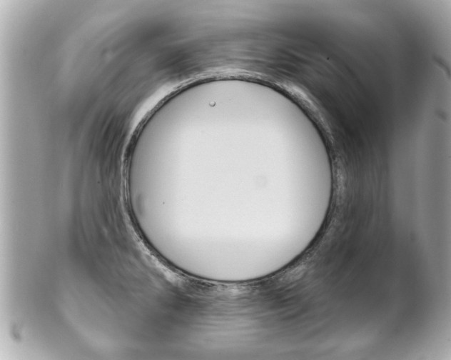 X0000102021286200807180934