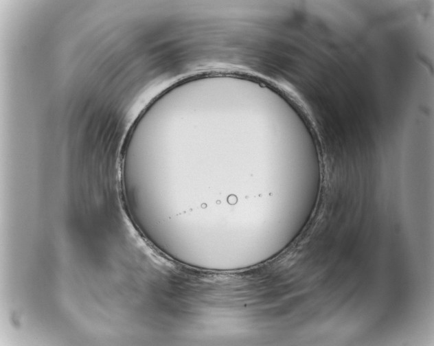 X0000102021287200807180934
