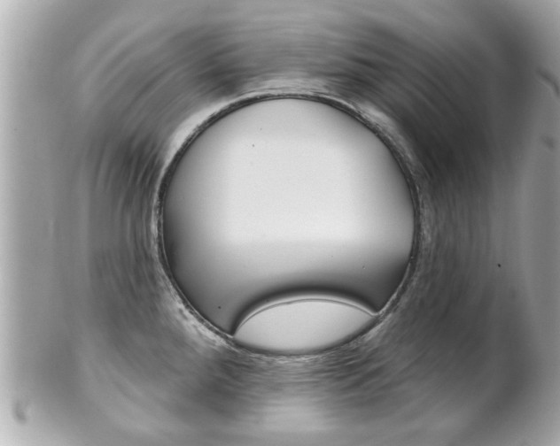 X0000102021288200807180934
