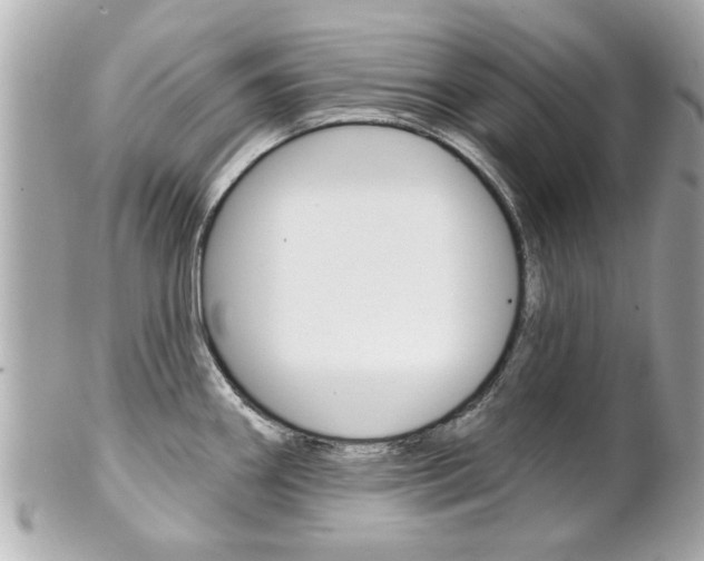 X0000102021290200807180934