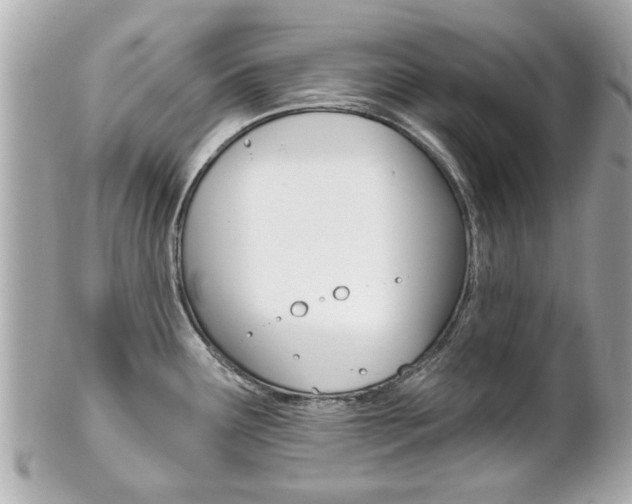 X0000102021291200807180934