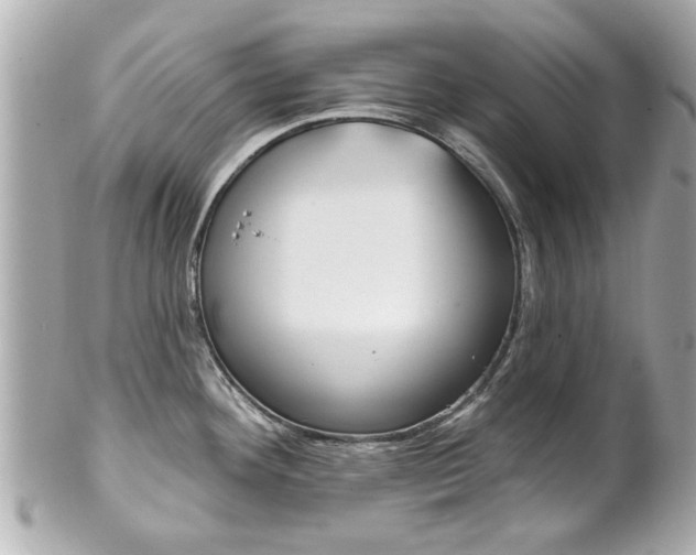 X0000102021292200807180934