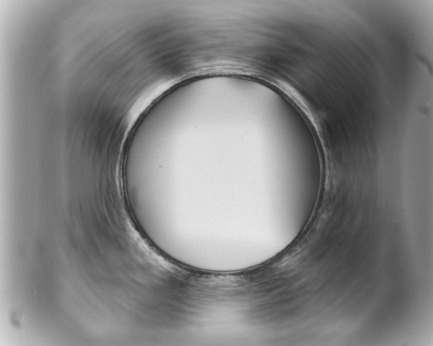 X0000102021293200807180934