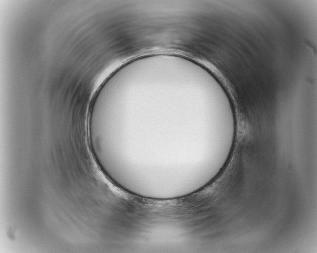 X0000102021294200807180934