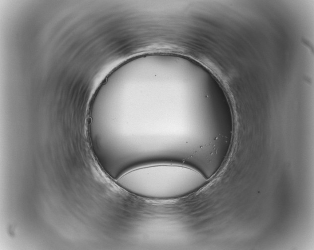 X0000102021296200807180934