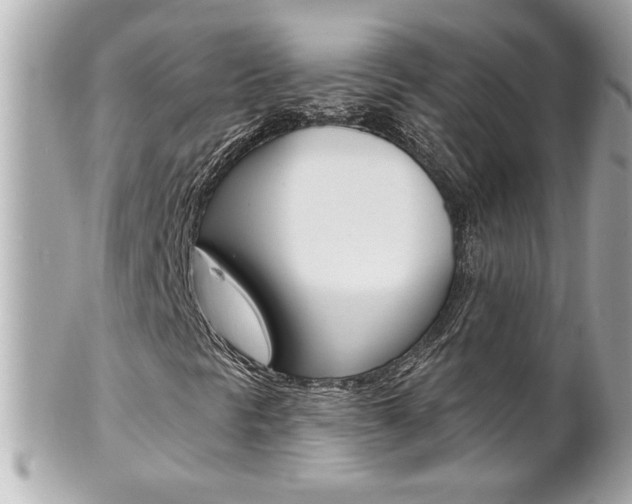 X0000102021297200807180933