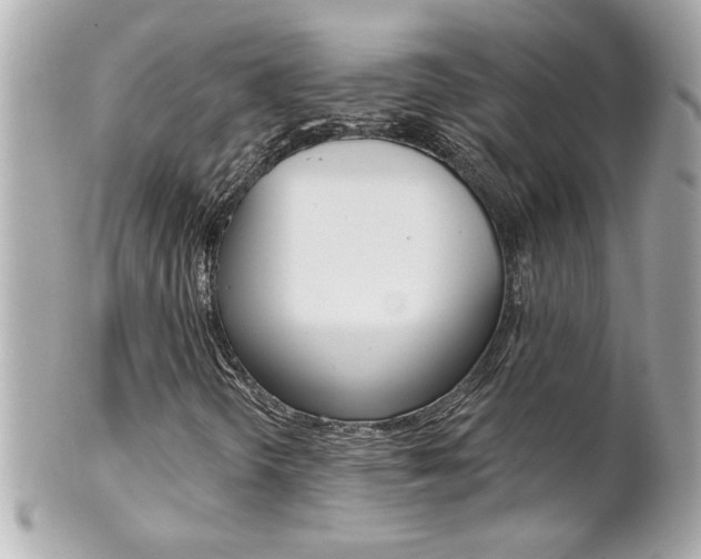X0000102021298200807180933