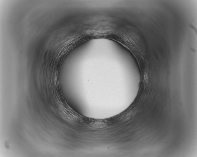 X0000102021300200807180933