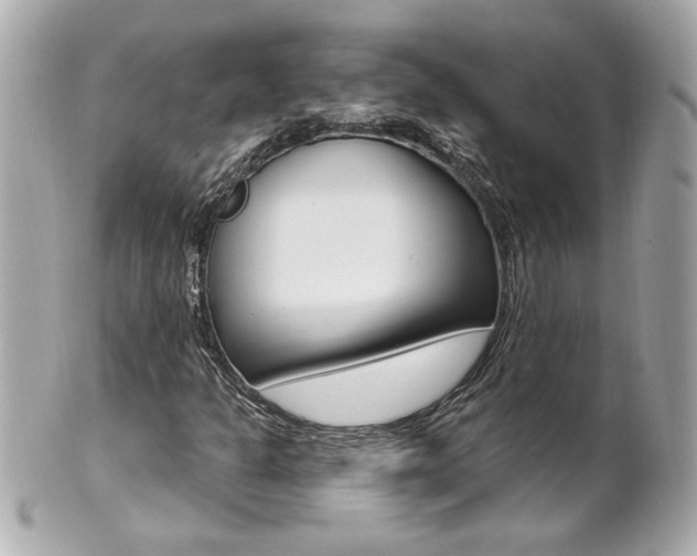 X0000102021301200807180933