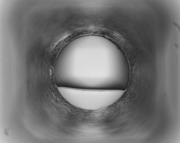 X0000102021302200807180933