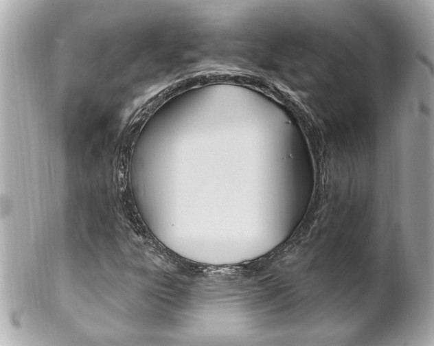 X0000102021303200807180933