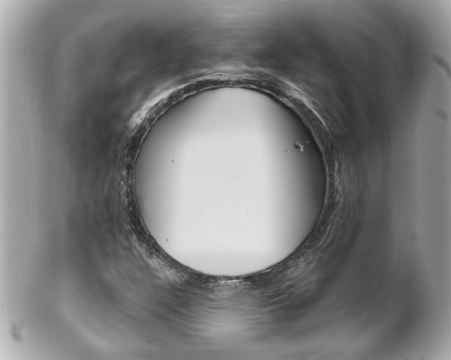 X0000102021304200807180933