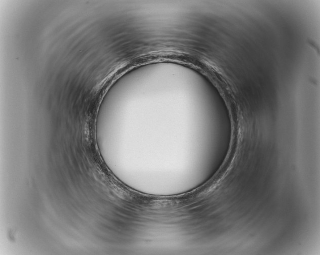 X0000102021305200807180934