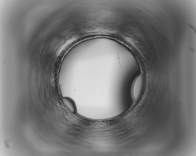 X0000102021307200807180934