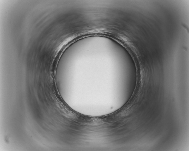 X0000102021308200807180934