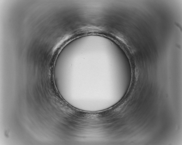 X0000102021309200807180934