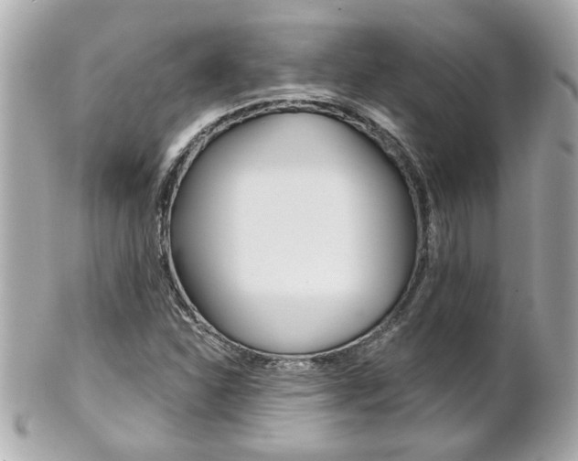X0000102021310200807180934