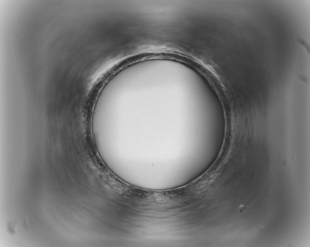 X0000102021311200807180934