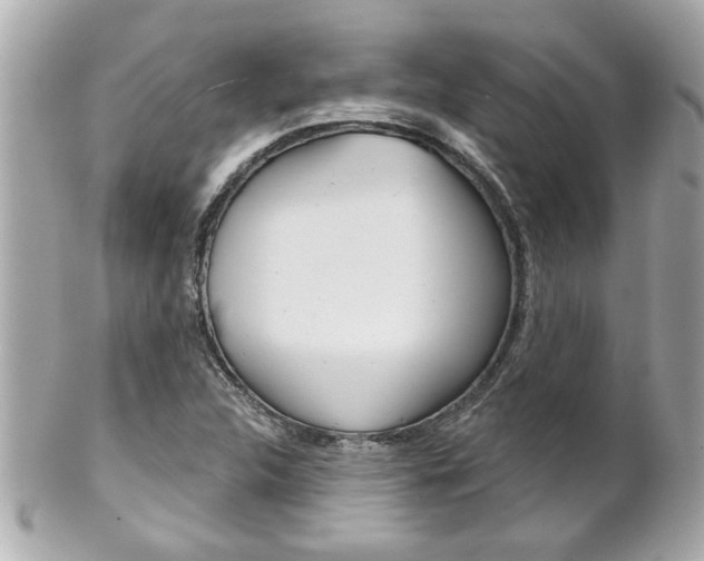 X0000102021312200807180934