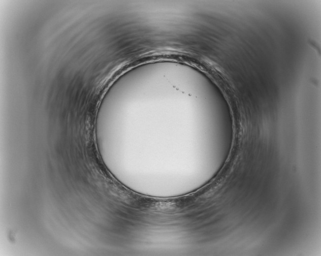 X0000102021313200807180934