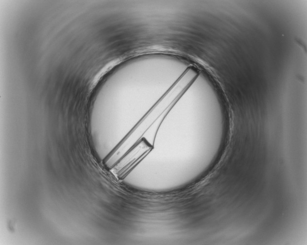 X0000102021314200807180934
