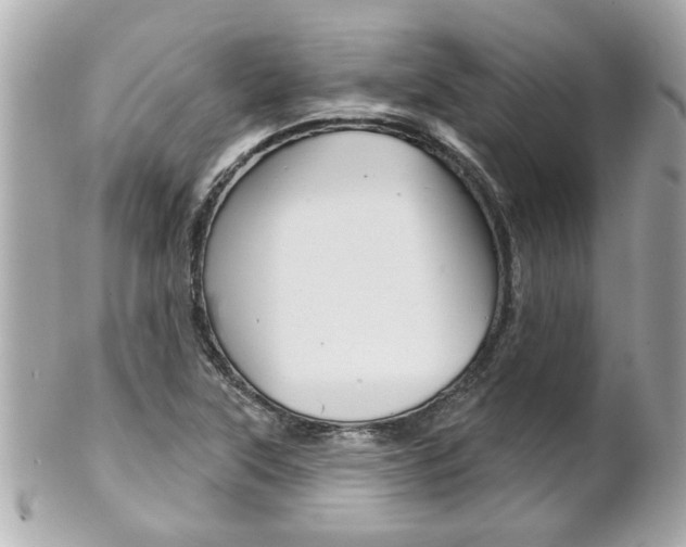 X0000102021315200807180934