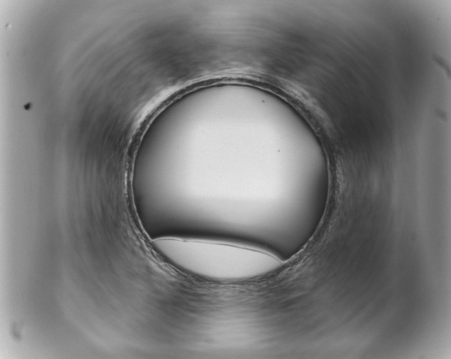 X0000102021316200807180934