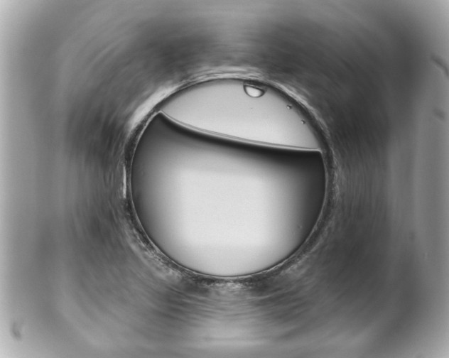 X0000102021317200807180934