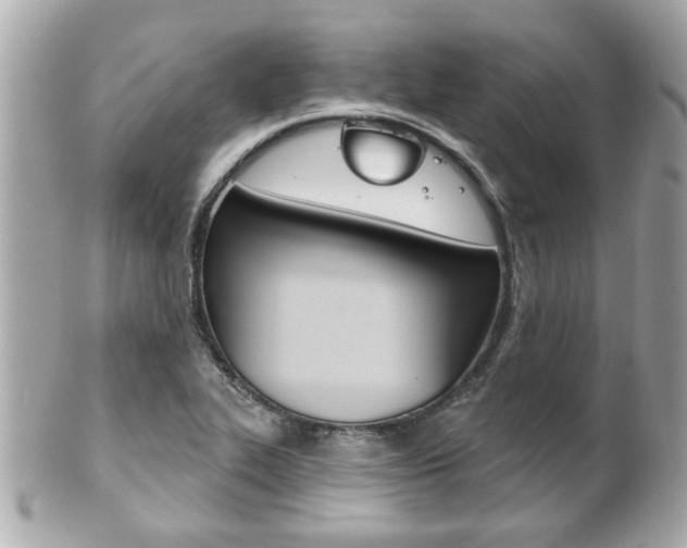 X0000102021319200807180934