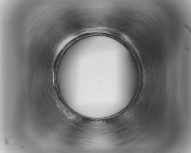 X0000102021320200807180934