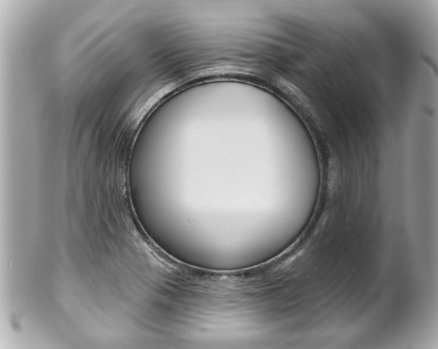 X0000102021321200807180934