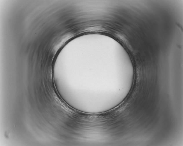 X0000102021322200807180934