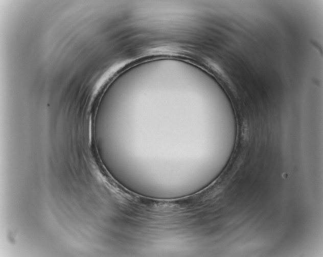 X0000102021323200807180934