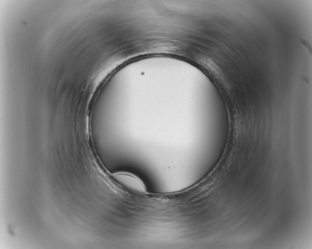 X0000102021324200807180934