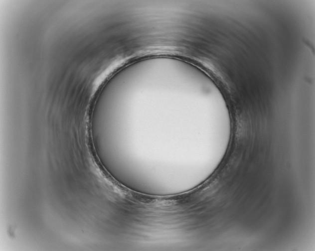 X0000102021325200807180934