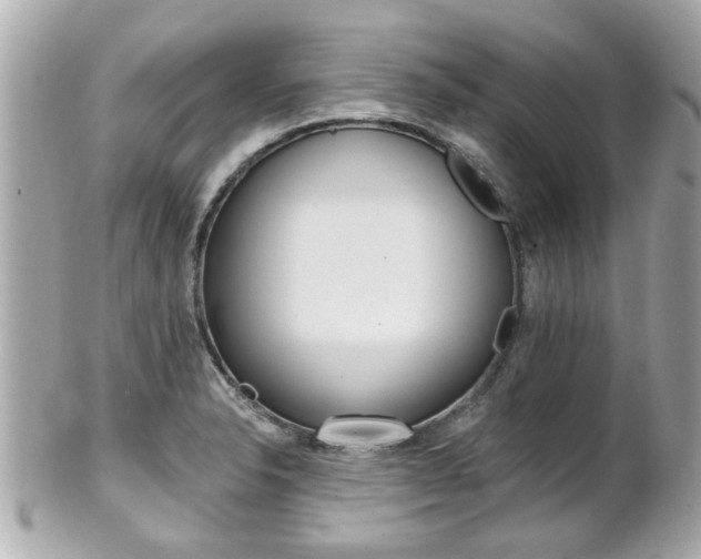 X0000102021326200807180934