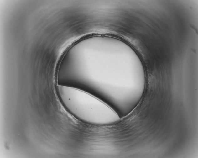 X0000102021327200807180934