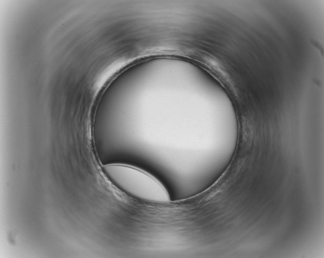 X0000102021328200807180934