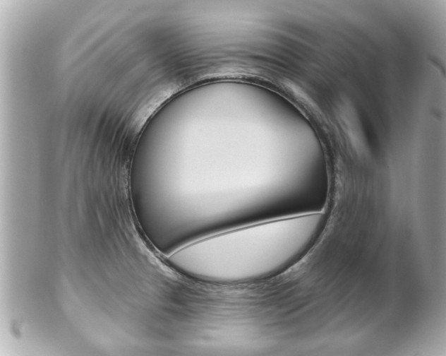 X0000102021329200807180934