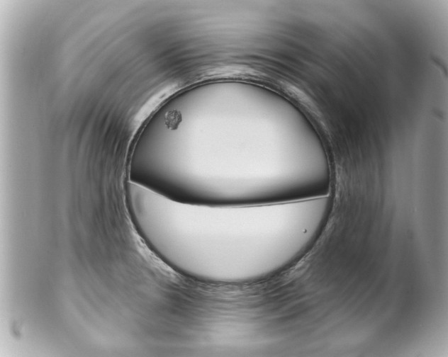 X0000102021330200807180934