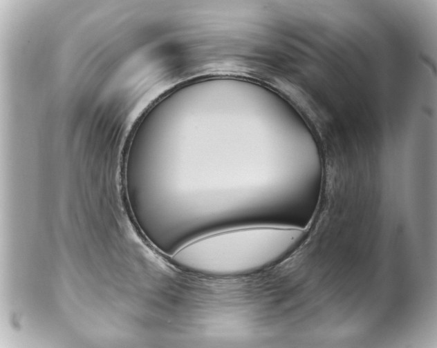 X0000102021331200807180934