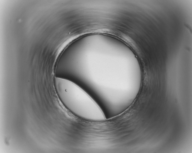 X0000102021332200807180934