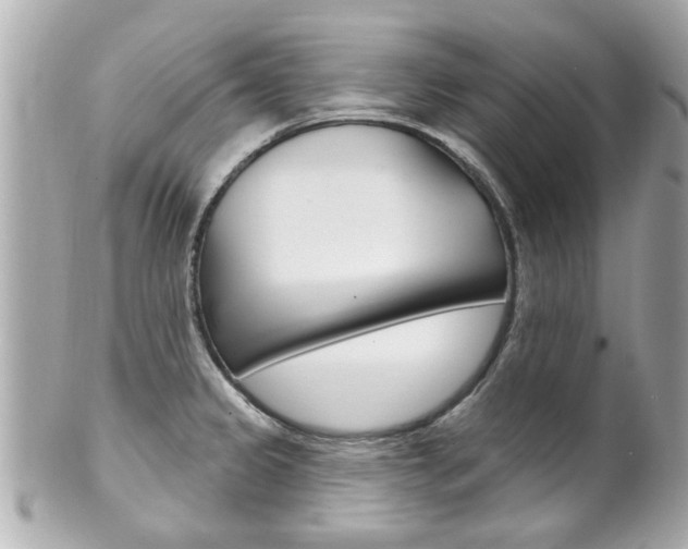 X0000102021333200807180934