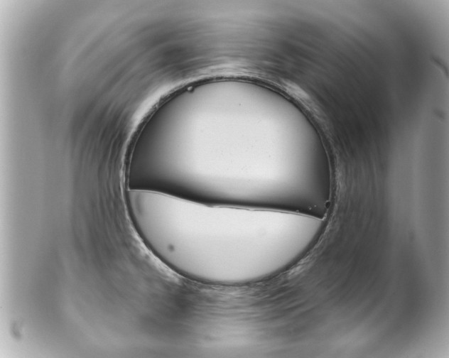 X0000102021334200807180934
