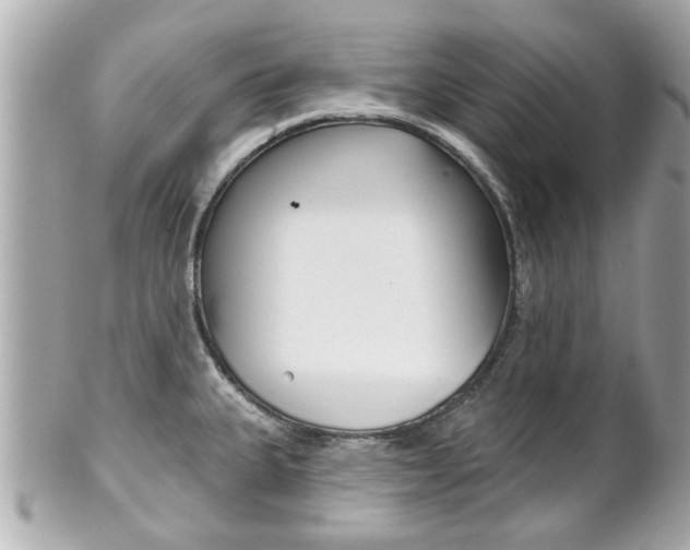 X0000102021335200807180934
