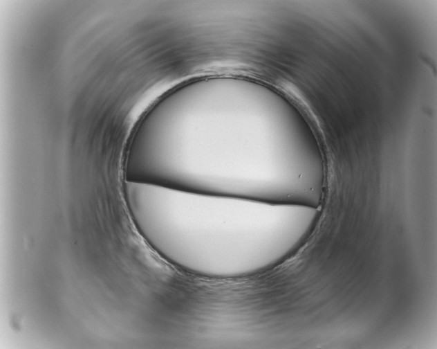 X0000102021336200807180934