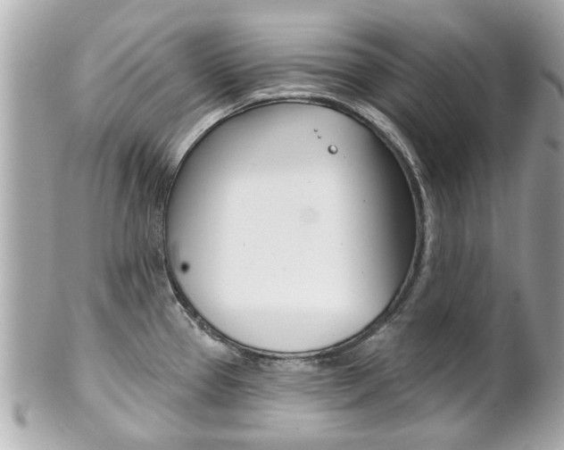X0000102021337200807180934