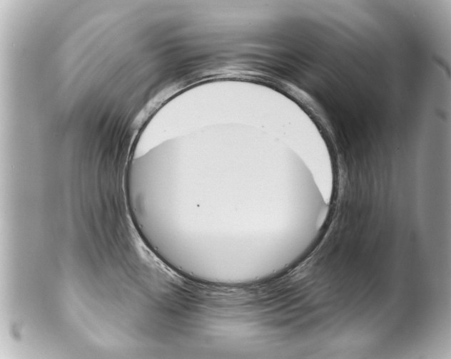 X0000102021338200807180934