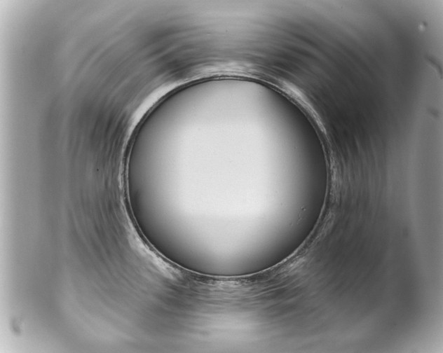 X0000102021339200807180934